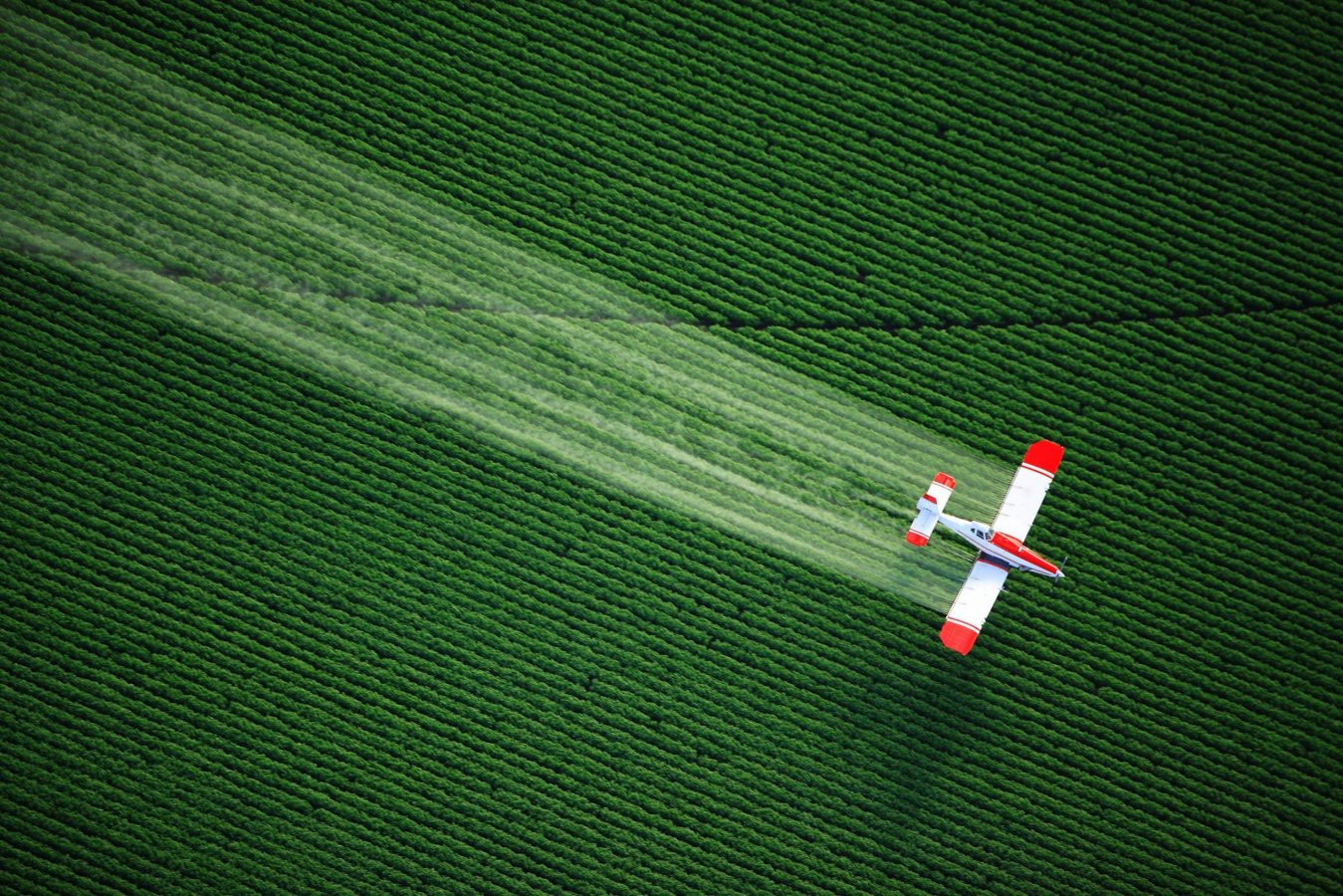 pictures_originals_2015_Aviation_The_aircraft_spray_fertilizer_over_the_field_106731_ (1)